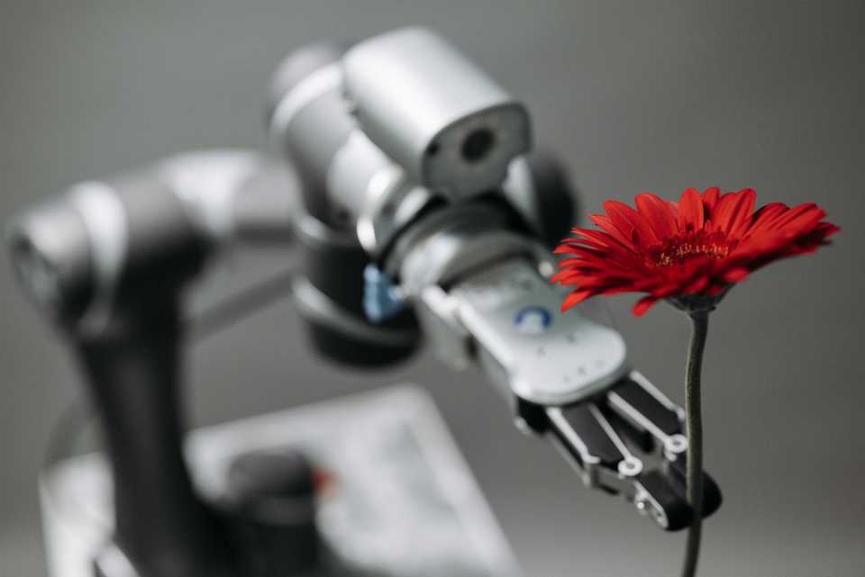 Photo by Pavel Danilyuk: https://www.pexels.com/photo/robot-holding-a-red-flower-8438966/