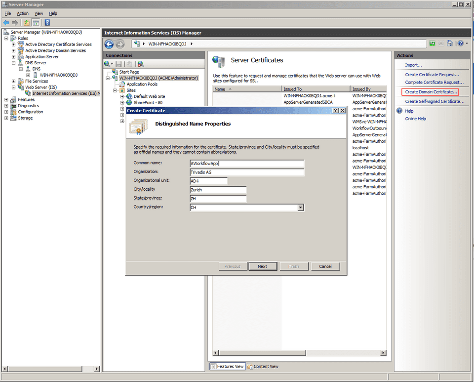 Create Domain Certificate